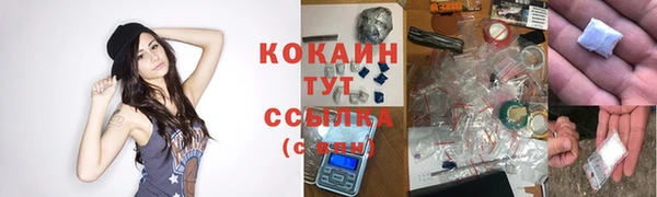 мяу мяу мука Абаза
