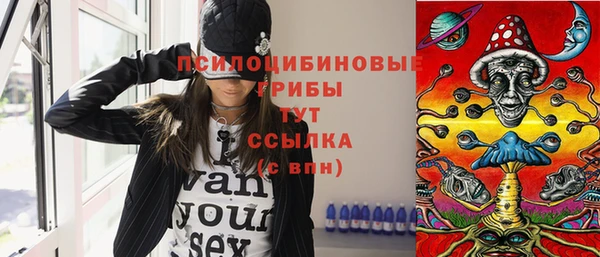 мяу мяу мука Абаза