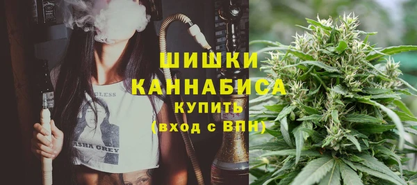 сатива Михайловка