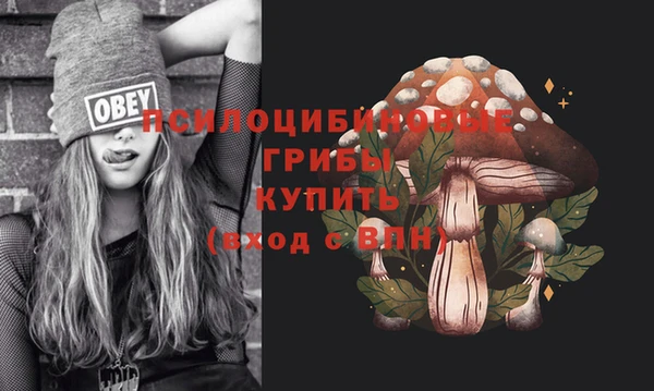 каннабис Алзамай