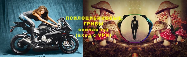 соль ск Алексеевка