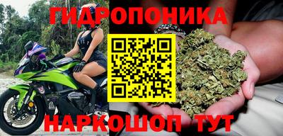 гидропоника Изобильный