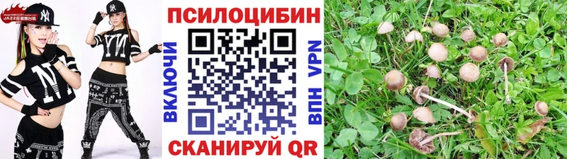 купить  сайты  Сочи  Галлюциногенные грибы Psilocybine cubensis 