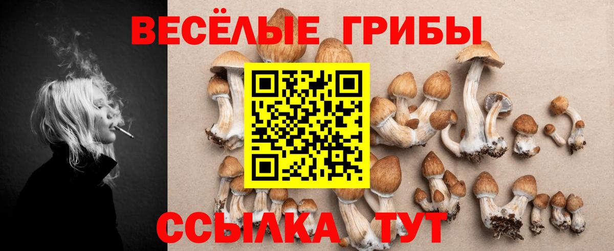 Галлюциногенные грибы MAGIC MUSHROOMS  Вход с VPN  Галлюциногенные грибы прущие грибы  купить   Сочи 