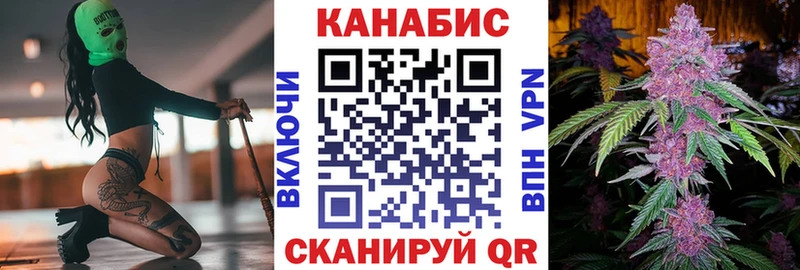 где купить наркотик  Сочи  Шишки марихуана сатива 