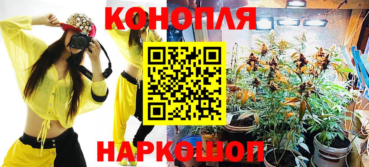 Конопля White Widow  Канабис марихуана  Бошки марихуана сатива  Сочи  Вход с VPN  Бошки Шишки сатива 